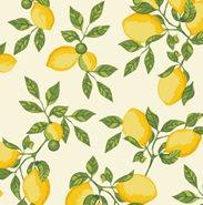 Tecido Nacional Coleção Limão Siciliano Bege (0)