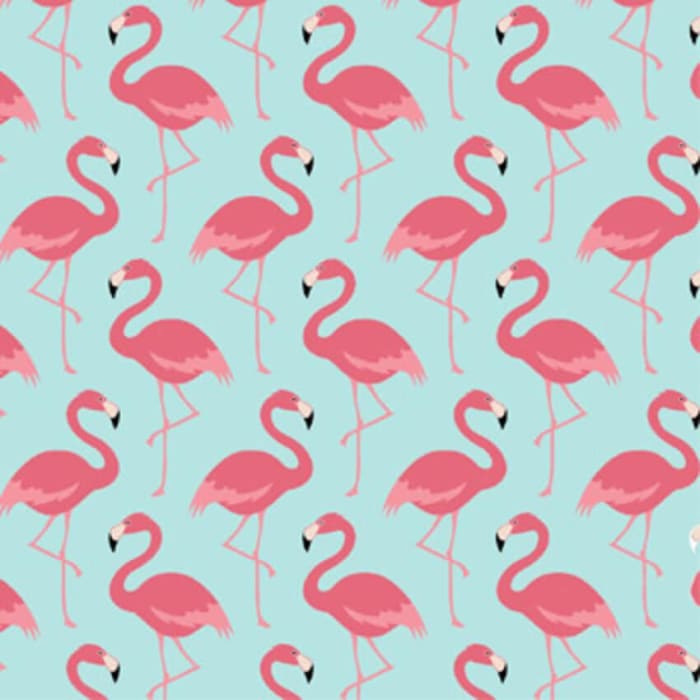 Tecido Nacional Coleção Flamingo (0)
